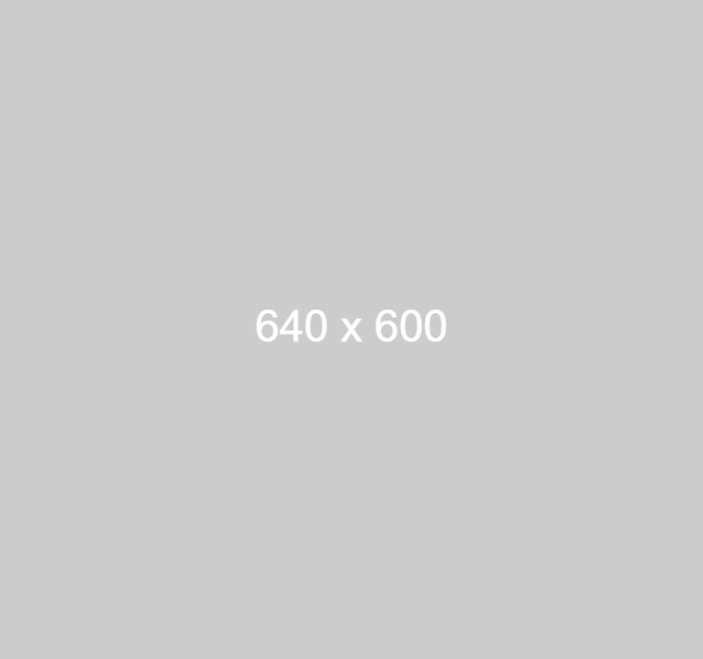 dummy mobile image