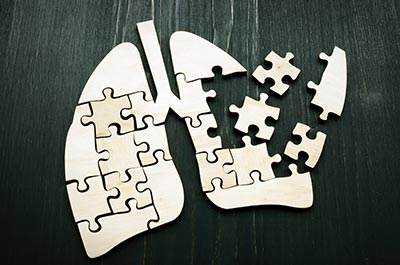 lungs puzzle