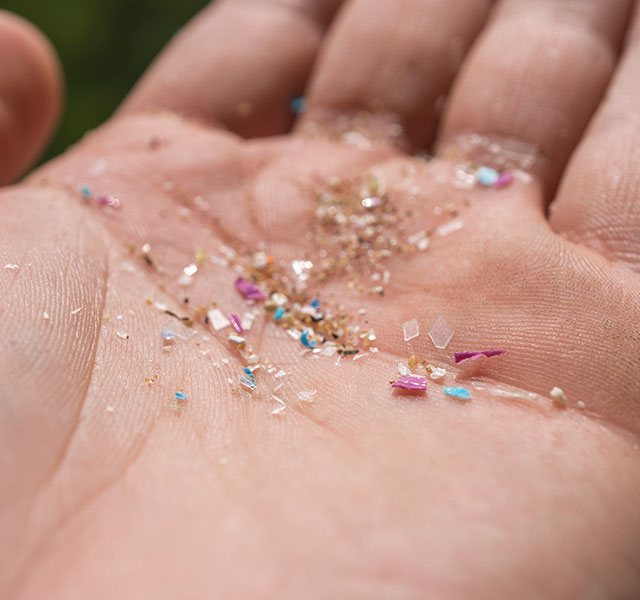 microplastics and heart health