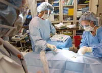 Emergency Room Procedure