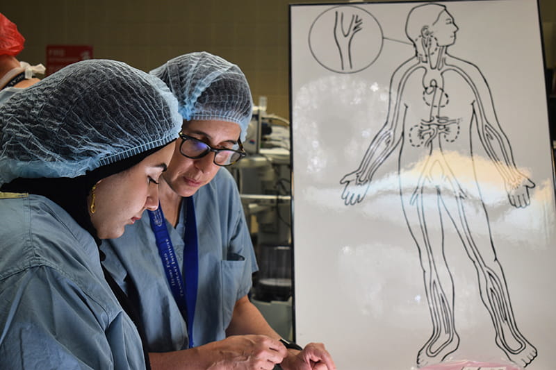 student and instructor looking at drawing of artery